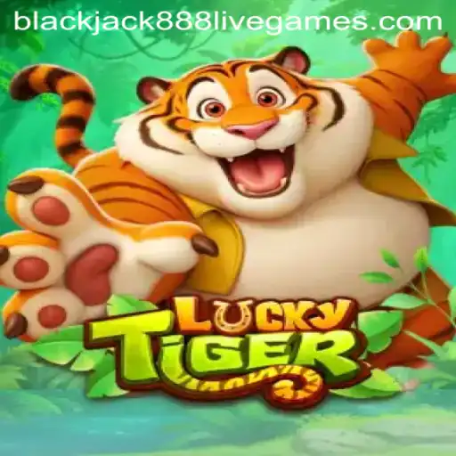 Exploring LuckyTiger: A Fresh Perspective on Blackjack888 Gaming Experience